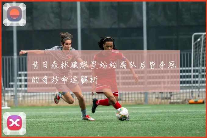 昔日森林狼球星纷纷离队后皆夺冠的奇妙命运解析