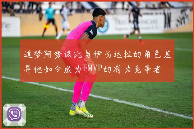 追梦阿努诺比与伊戈达拉的角色差异他如今成为FMVP的有力竞争者