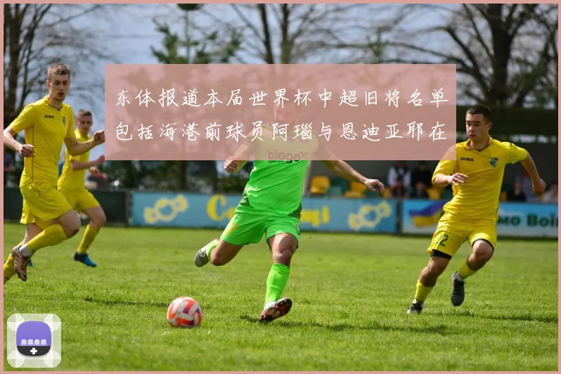 东体报道本届世界杯中超旧将名单包括海港前球员阿瑙与恩迪亚耶在内的10位球员