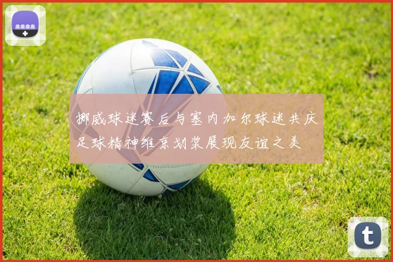 挪威球迷赛后与塞内加尔球迷共庆足球精神维京划桨展现友谊之美