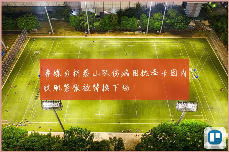 鲁媒分析泰山队伤病困扰泽卡因内收肌紧张被替换下场